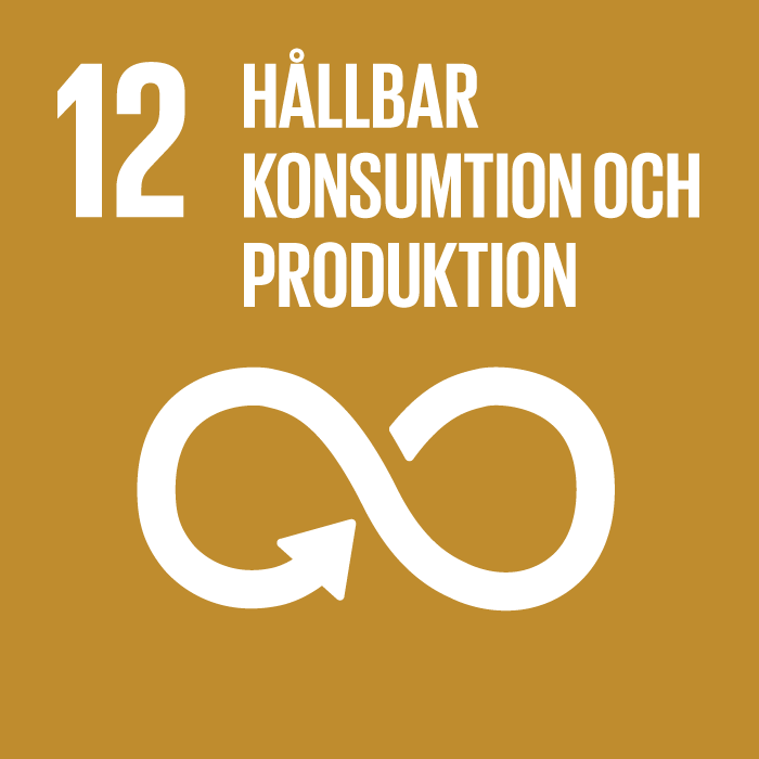 Logotyp för Globala målens mål nummer 12