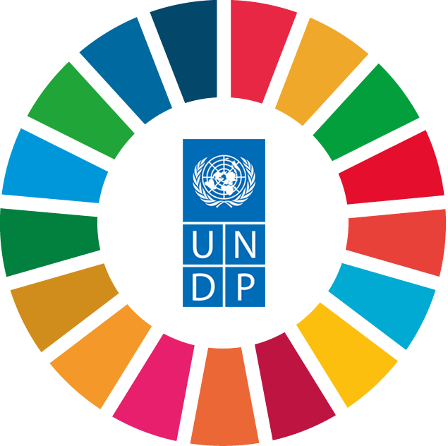 UNDP:s logotyp i ett färgat hjul