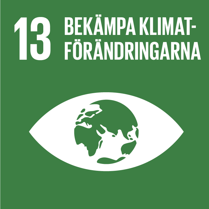 13. Bekämpa klimatförändringarna. Mörkgrön kvadrat, text och symbol i vitt. Ett öga, där irisen är ett jordklot.